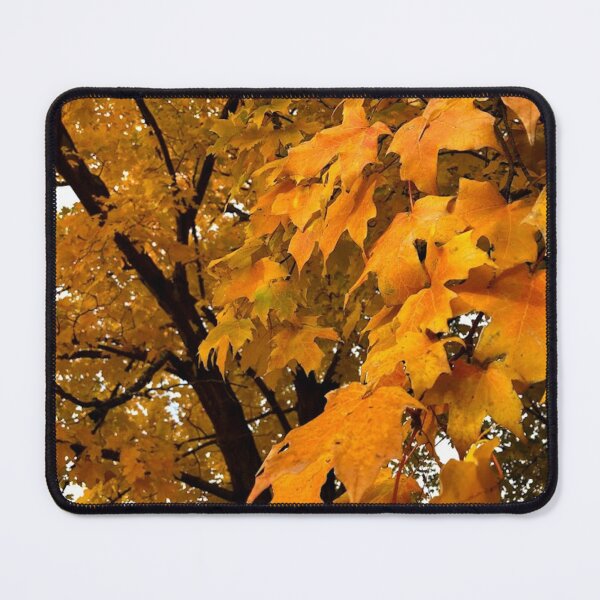 Item preview, Autumn leaves, no filter photograph designed and sold by GiSilver.