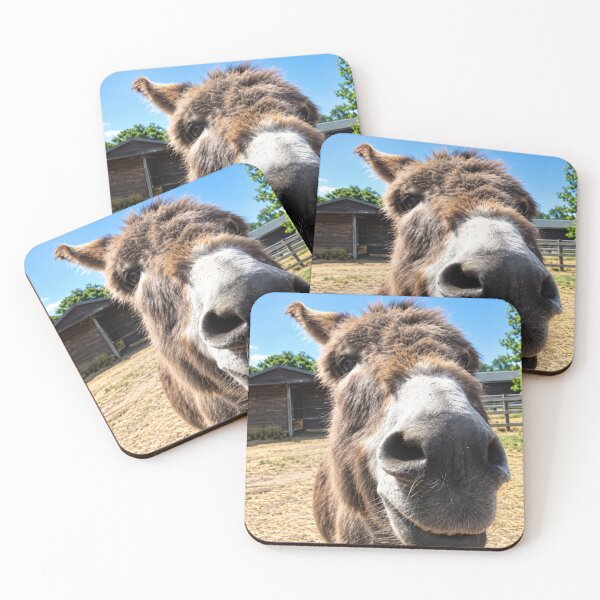 Item preview, Nosey Neighbour.  Countryside Donkey designed and sold by Astute-Artio-Photography.