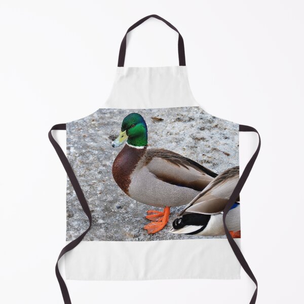 Item preview, Frost-Kissed Mallard on Icy Ground designed and sold by Astute-Artio-Photography.