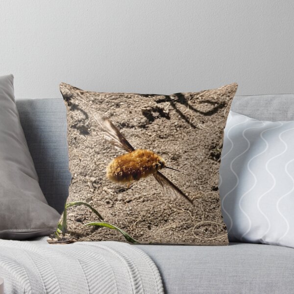 Item preview, Bee-Fly in Flight. Macro Marvel designed and sold by Astute-Artio-Photography.