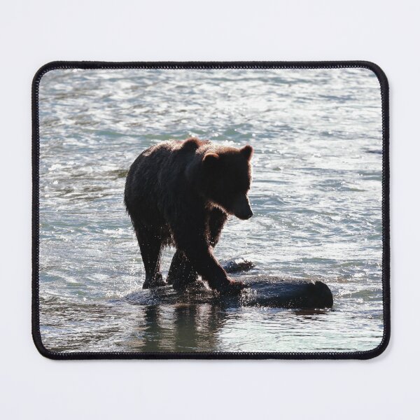 Item preview, Grizzly family fishing designed and sold by zumi.