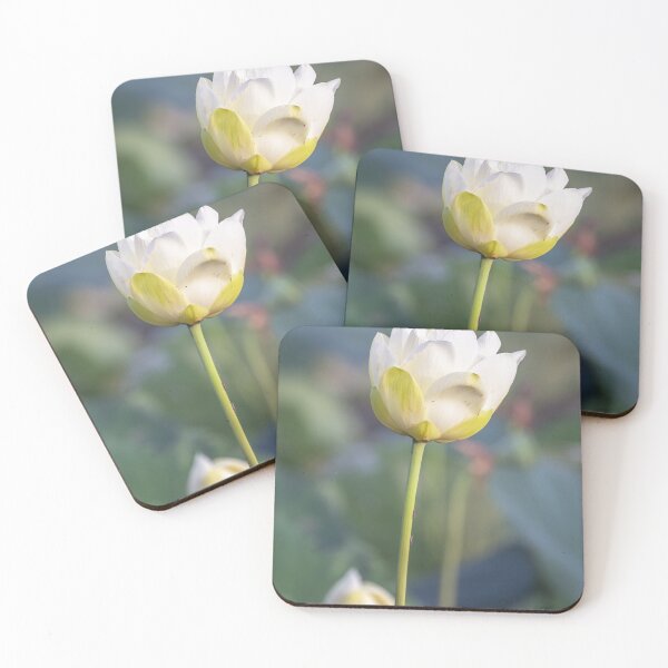 Item preview, Water Lily in Bloom designed and sold by PhotoArt by Joan Carroll.