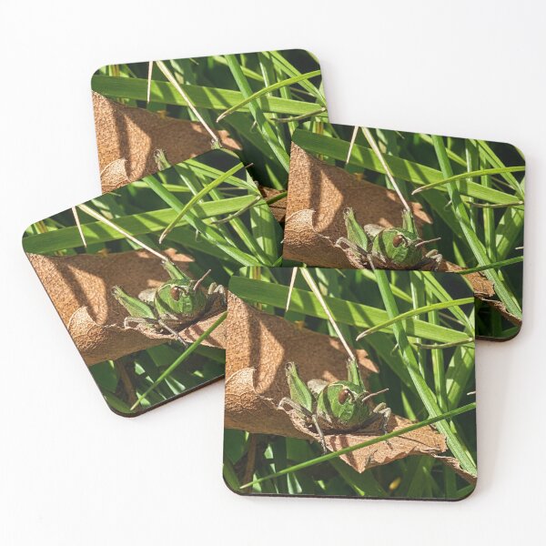 Item preview, Grasshopper Peeking from Autumn Leaf designed and sold by Astute-Artio-Photography.
