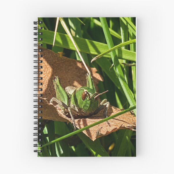 Item preview, Grasshopper Peeking from Autumn Leaf designed and sold by Astute-Artio-Photography.