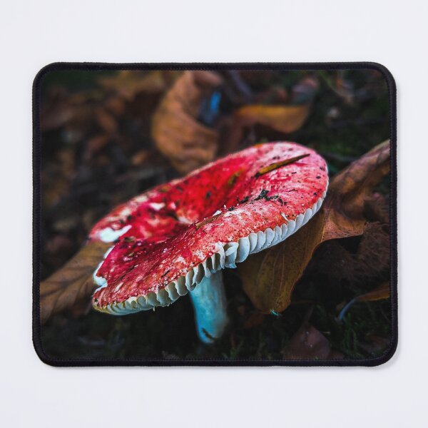 Item preview, Red forest mushroom in autumn leaves – nature photography designed and sold by Tammigrafie.