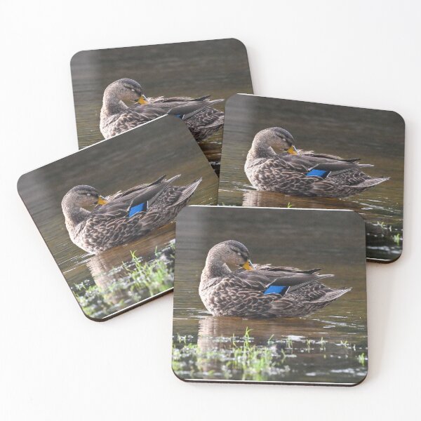 Item preview, Preening  designed and sold by Glennphotos.