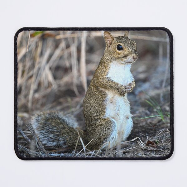 Item preview, Contemplating designed and sold by Glennphotos.