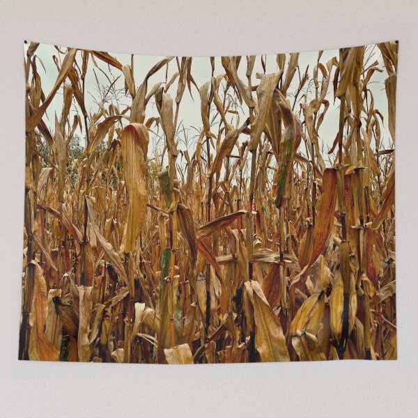 Item preview, Among the Corn Stalks designed and sold by bjtomiko.