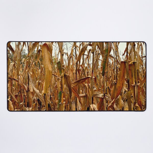 Item preview, Among the Corn Stalks designed and sold by bjtomiko.