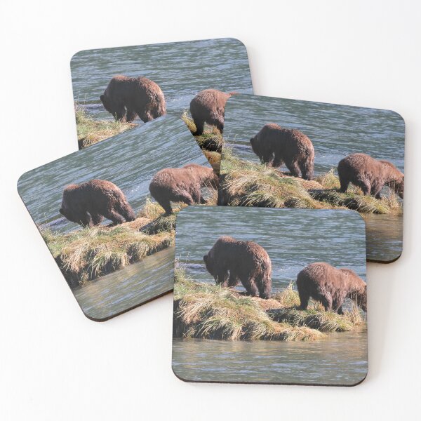 Item preview, Grizzly family fishing IV designed and sold by zumi.