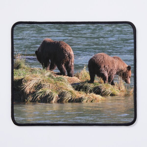 Item preview, Grizzly family fishing IV designed and sold by zumi.