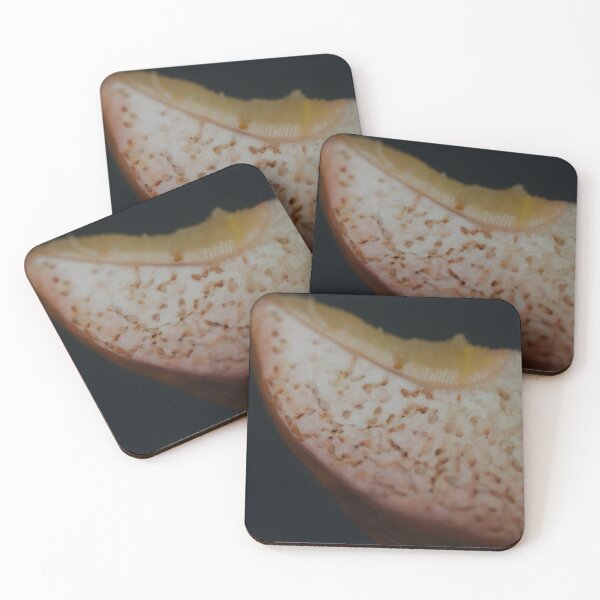 Item preview, Macro close-up of rotten taro root slice designed and sold by Shemski.