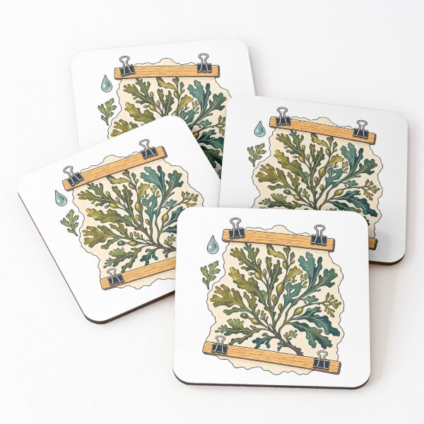 Item preview, Seaweed Pressing Coastal Herbarium Craft designed and sold by Philippa Shop.