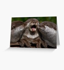 Awww... Get off! Greeting Card