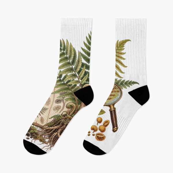 Item preview, Fern Frond Study with Root Detail – Botanical Illustration Illustration designed and sold by Xnuery.