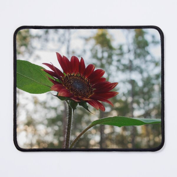 Item preview, Red Sunflower with Woodsy Sunset designed and sold by PhotoArtbyGrace.