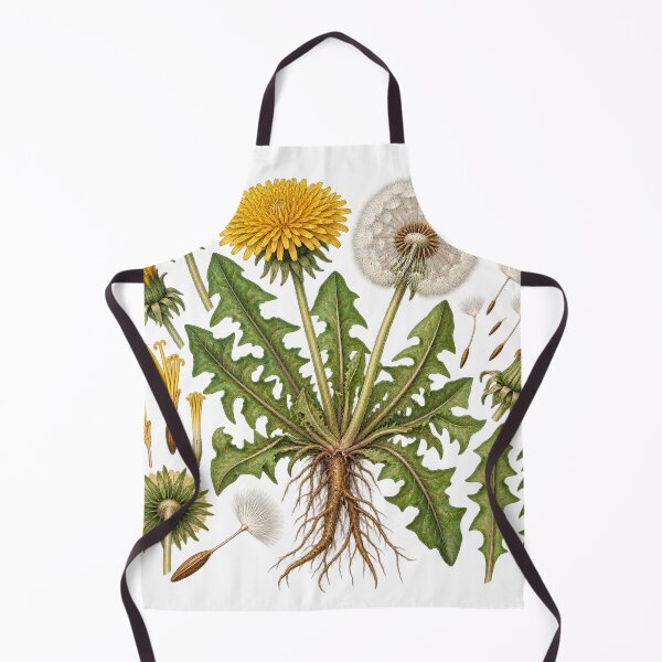 Item preview, Dandelion Seed and Leaf Diagram – Botanical Illustration Illustration designed and sold by Xnuery.