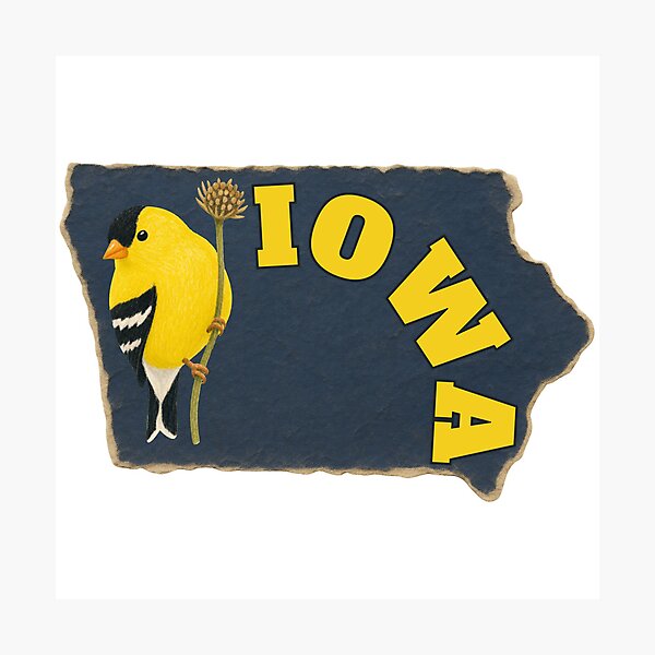 Item preview,  Iowa Map | Iowa State Outline | USA Map Art designed and sold by 22k Lab Studio.