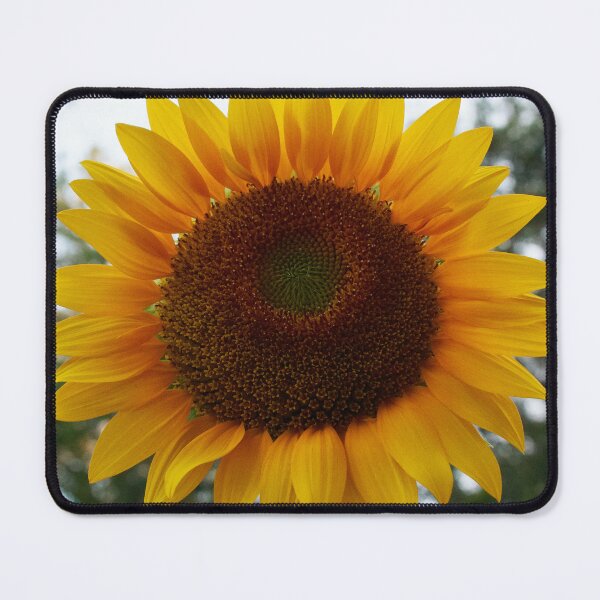 Item preview, Full Frame Mammoth Sunflower designed and sold by PhotoArtbyGrace.