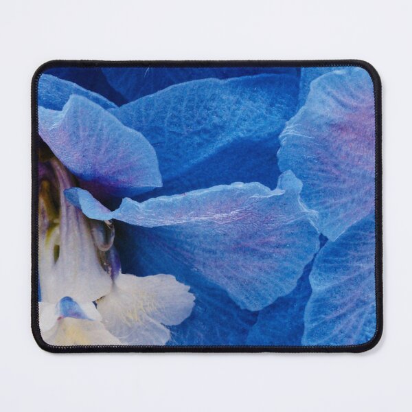 Item preview, Vibrant Blue Delphinium Blooms Close Up designed and sold by HDwyer0.