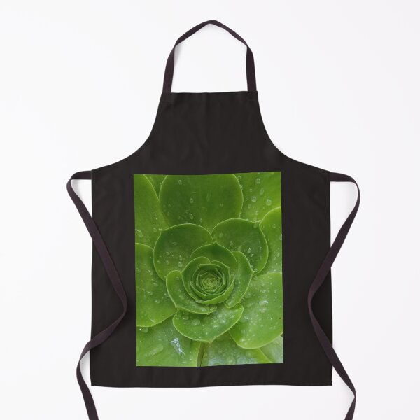 Item preview, A big succulent designed and sold by shipaki.
