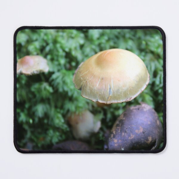 Item preview, fungi designed and sold by KathleenDawson.