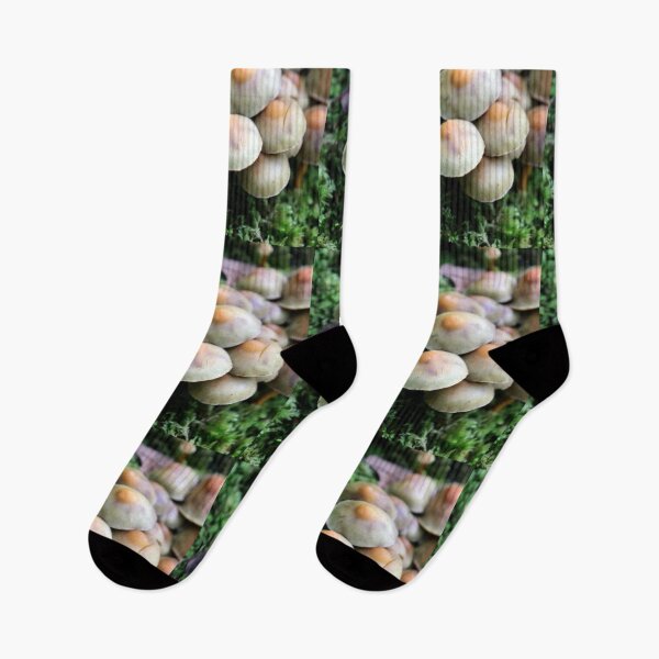Item preview, fungi designed and sold by KathleenDawson.
