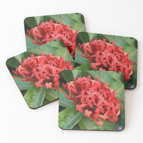Item preview, Vibrant Red Ixora Tropical Flower Photography designed and sold by Luxxe87.