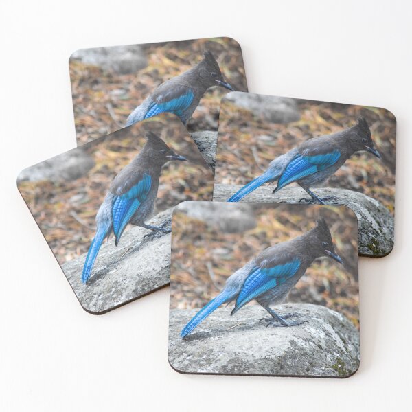 Item preview, Blue Jay in Forest designed and sold by BeeLightPhotos.
