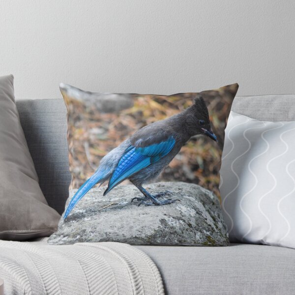Item preview, Blue Jay in Forest designed and sold by BeeLightPhotos.