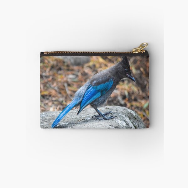 Item preview, Blue Jay in Forest designed and sold by BeeLightPhotos.