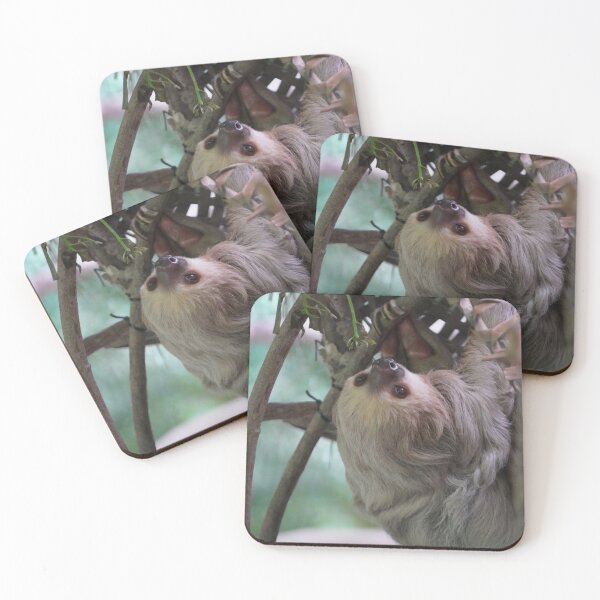 Item preview, Sloth designed and sold by Malcolm Snook.