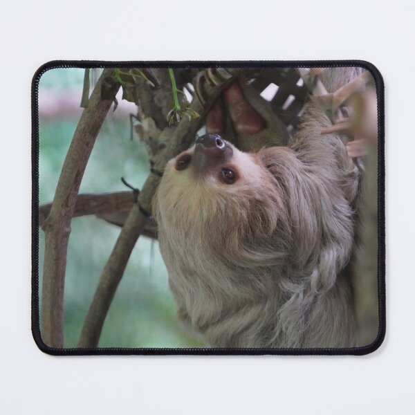 Item preview, Sloth designed and sold by Malcolm Snook.