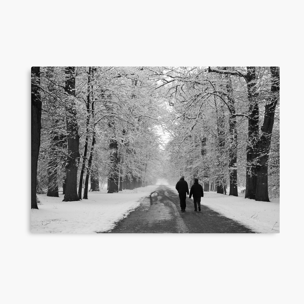 Companions - BW Canvas Print
