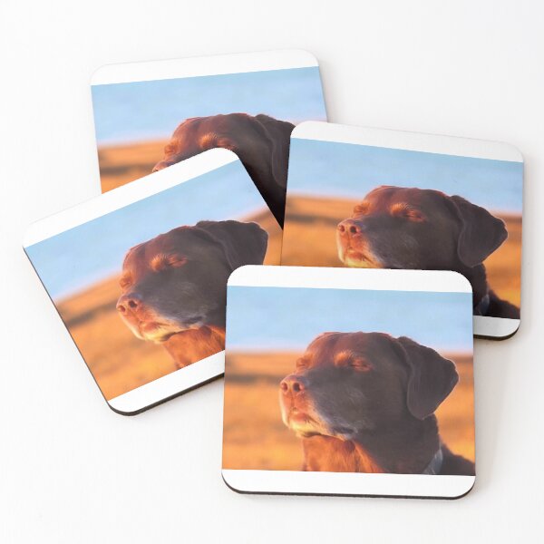 Item preview, Dog closing eyes meme designed and sold by RedVelvetUtd.