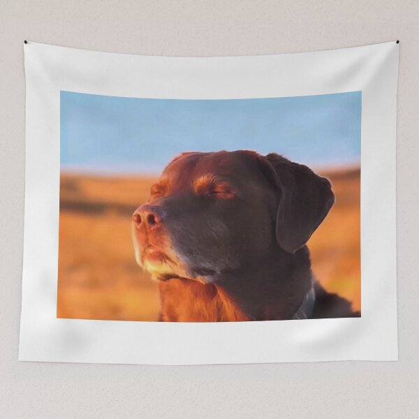 Item preview, Dog closing eyes meme designed and sold by RedVelvetUtd.
