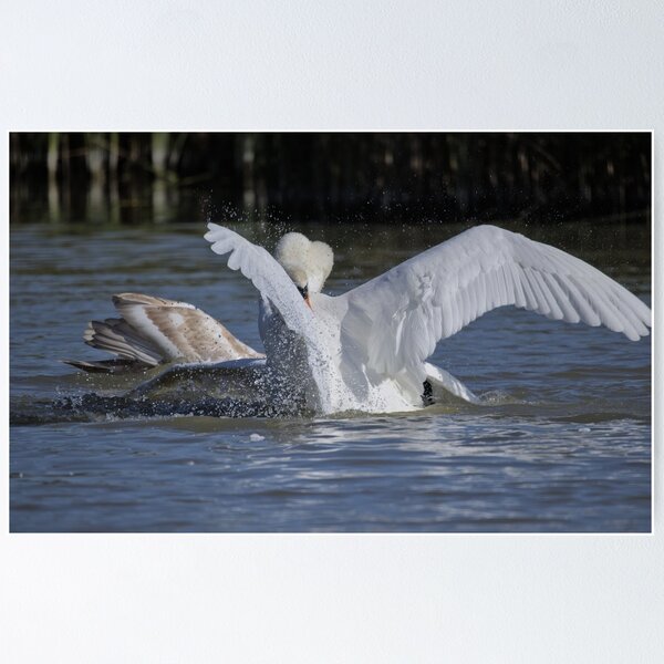 Item preview, Frozen reality - Beautiful nature 1278 designed and sold by deep-sea-birds.