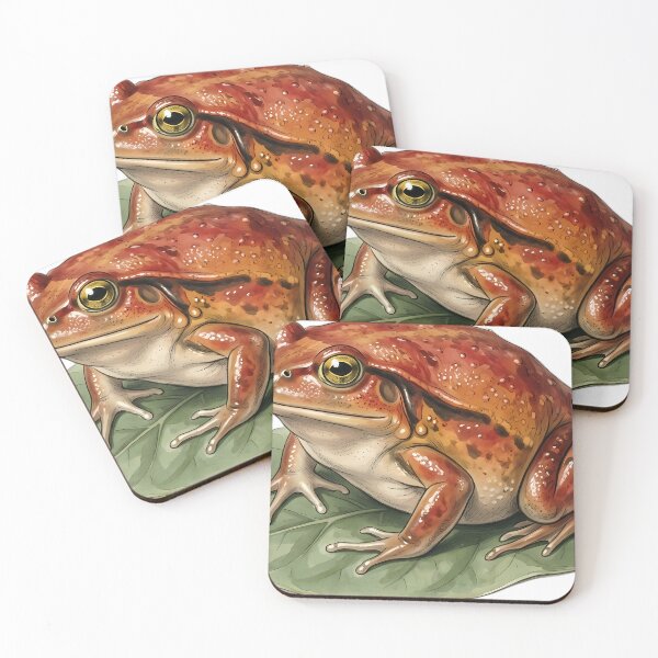 Item preview, Vintage Naturalist Tomato Frog on a Leaf — Antique Amphibian Art designed and sold by Catch333.
