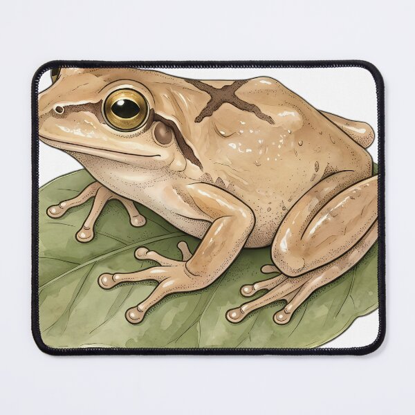 Item preview, Vintage Naturalist Spring Peeper on a Leaf — Antique Amphibian Art designed and sold by Catch333.