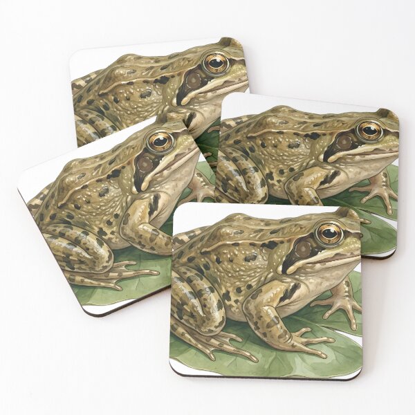 Item preview, Vintage Naturalist Common Frog on a Leaf — Antique Amphibian Print designed and sold by Catch333.