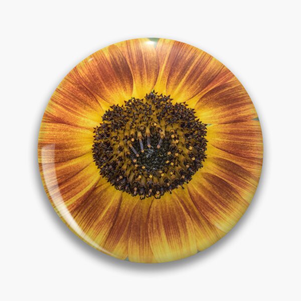 Item preview, Vibrant Sunflower Blooming in Warm Yellow and Rufous Red designed and sold by Georgia Mizuleva.
