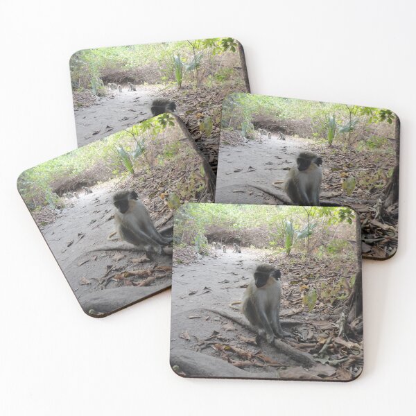 Item preview, Vervet Monkey on a Forest Trail in Bijilo Forest Park, The Gambia designed and sold by cooskettdesigns.