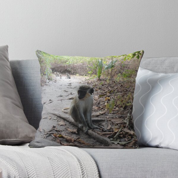 Item preview, Vervet Monkey on a Forest Trail in Bijilo Forest Park, The Gambia designed and sold by cooskettdesigns.