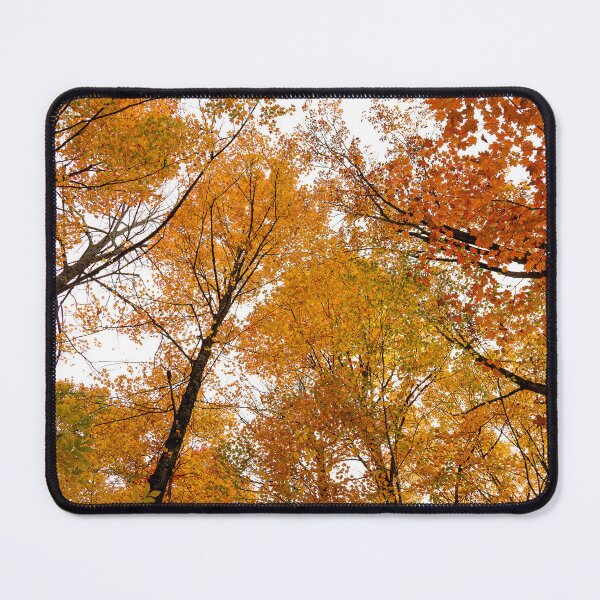Item preview, Look Up designed and sold by Imrick Photography.