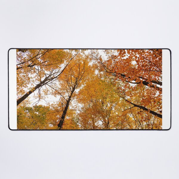 Item preview, Look Up designed and sold by Imrick Photography.