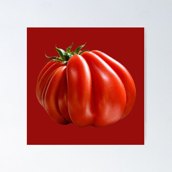 Item preview, Fresh Red Italian Heirloom Tomato Illustration designed and sold by MatiolaScentArt.