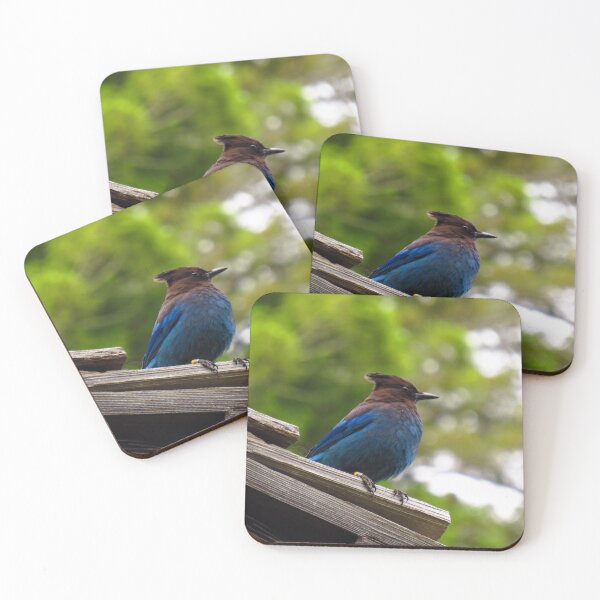 Item preview, Steller's Jay, Redwood National Park, California designed and sold by Pav Marek.
