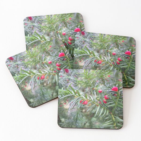Item preview, Red Berries in Evergreen - Botanical Photography designed and sold by Tallinn Tiny Walks.