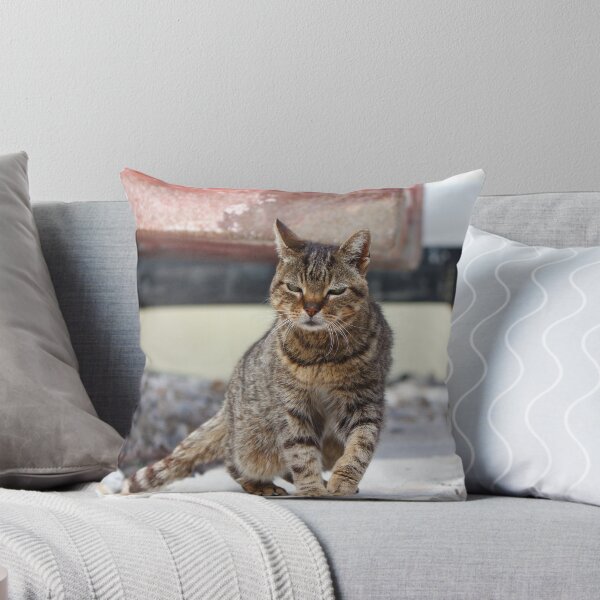 Item preview, Croatian harbour cat designed and sold by GreyFeatherPhot.