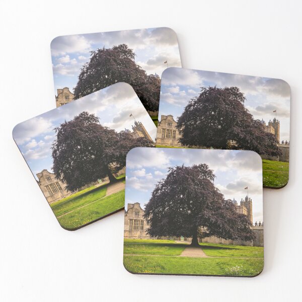 Item preview, The Grand Copper Beech at Historic Bolsover Castle designed and sold by Astute-Artio-Photography.